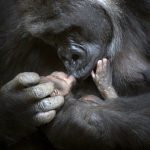 L’enfant qui aimait sa mère.